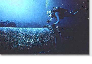 Spirulina - Deep Sea Diver Water Source